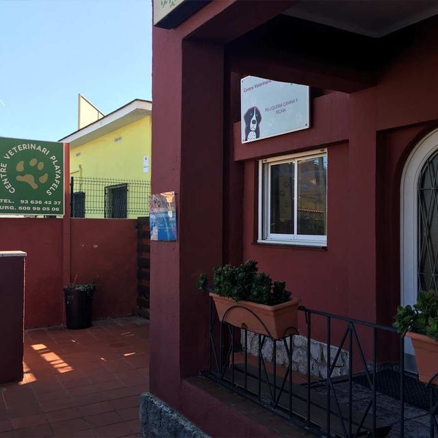 Centro Veterinario Playafels veterinaria 7