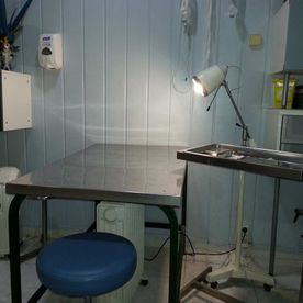 Centro Veterinario Playafels veterinaria 9