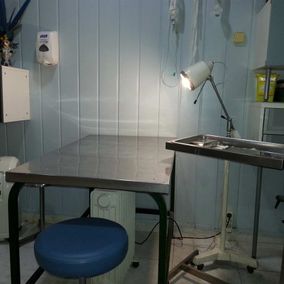 Centro Veterinario Playafels guardería 5