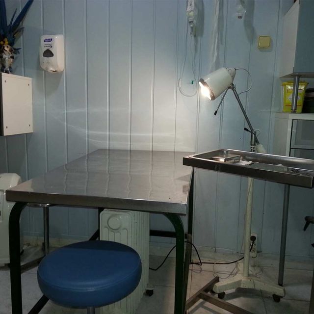 Centro Veterinario Playafels veterinaria 9