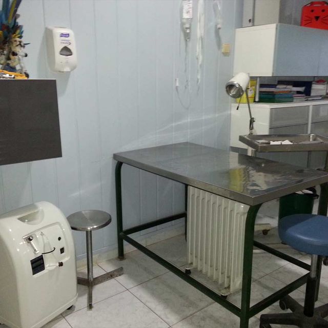 Centro Veterinario Playafels guardería 4