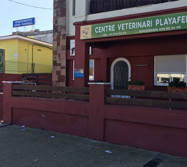 Centro Veterinario Playafels veterinaria 4