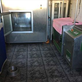 Centro Veterinario Playafels guardería 7