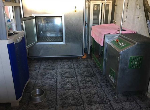 Centro Veterinario Playafels peluquería canina 2