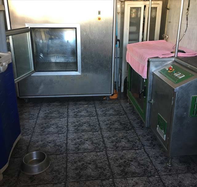 Centro Veterinario Playafels guardería 7