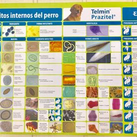 Centro Veterinario Playafels veterinaria 5