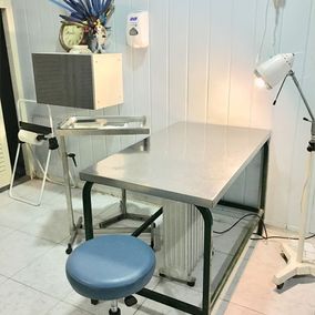 Centro Veterinario Playafels guardería 3